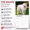 BrownTrout; Great Pyrenees | 2027 12 x 24 Inch (Hanging) Monthly Square Wall Calendar | Plastic-Free; Category:Wall Calendars; Image:7